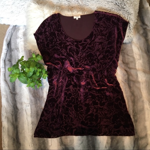 [Wilfred] Silk/Velvet Maroon Floral Shift Dress - Picture 2 of 7